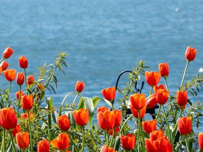 【美丽大理】8组色卡 心动在大理的春天