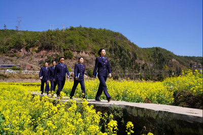 牟定税务：助力乡村振兴我们一直在路上  