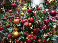 【图集 | “女神节” 到岔街花市 选束花送给女神】