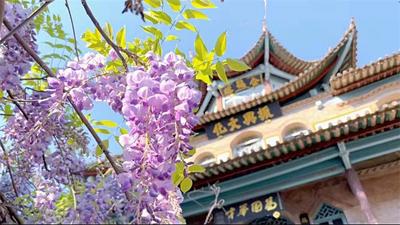 春分：我要带你去看红河最美人间