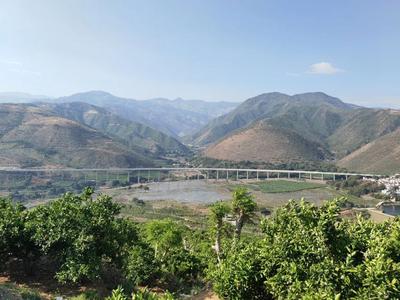 春日休闲游玩好去处，元江良丰庄园等你来！