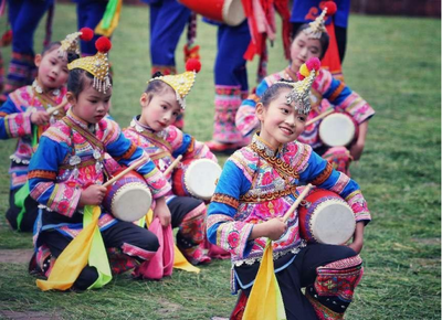 回顾历届双柏虎文化节，感受“虎乡”独特魅力！
