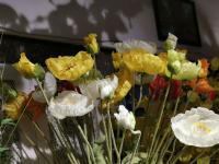 【图集 | “女神节” 到岔街花市 选束花送给女神】