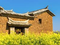图集 | 乌龙渔村风光正好 油菜花开引人入胜