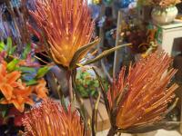 【图集 | “女神节” 到岔街花市 选束花送给女神】