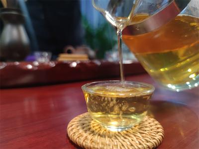 【美丽大理】只此青绿一枝春，且看无量采茶时