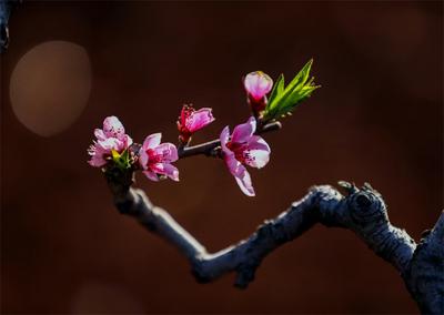 春分：我要带你去看红河最美人间