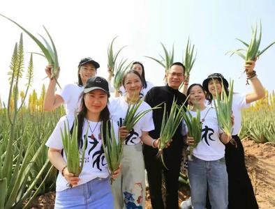 首届云南元江芦荟花节成功举办