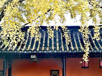 读书 | 叶萍老师文集《一路拈花》有感：一路欢歌 拈花微笑