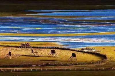 香格里拉两地入选新浪旅游100个微博年度旅行地榜单  欢迎种草！