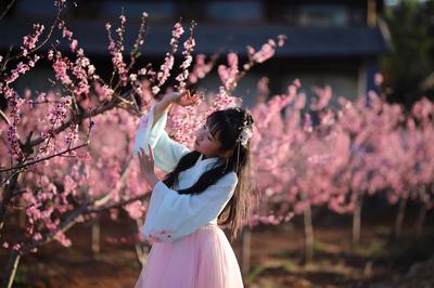 【有一种生活叫大理】直播预告！问花洱海源之花香茈碧