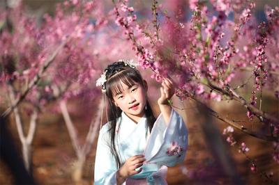 【美丽大理】桃花烂漫！等你问花洱海源