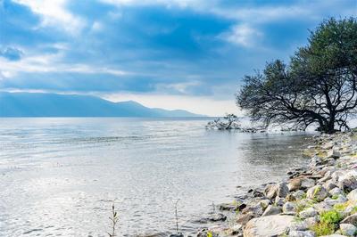 【有一种生活叫大理】走走停停吹吹风 大理浪漫又悠闲