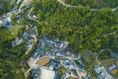 周六来买山货啦！宁洱县同心镇勐海田“山货街”即将开街