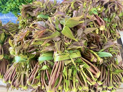 玉溪：春来万物生，莫负好“食”光