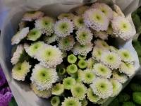 【图集 | “女神节” 到岔街花市 选束花送给女神】