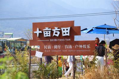 【有一种生活叫大理】这个周末集市 好吃又好玩！