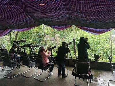 怒江百鸟谷 怒江旅游新名片