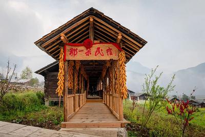 住进“那一朵”，留在丙中洛