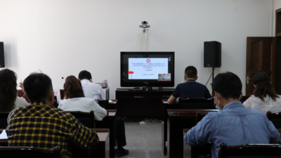 西双版纳州《关于进一步加强非物质文化遗产保护工作的实施意见》落实情况