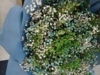 【图集 | “女神节” 到岔街花市 选束花送给女神】