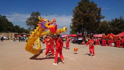 玉溪市易门县2022年“二月二”“龙游花果山”舞龙大赛成功举办