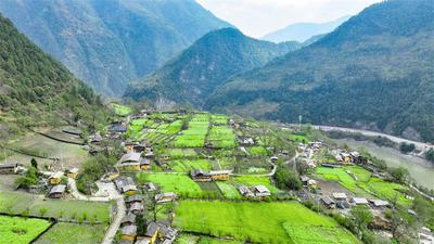 又是一年春游季，走进贡山这幅田园油画里