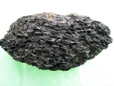 大理新发现：公元前1600年古人就已种植水稻和小米