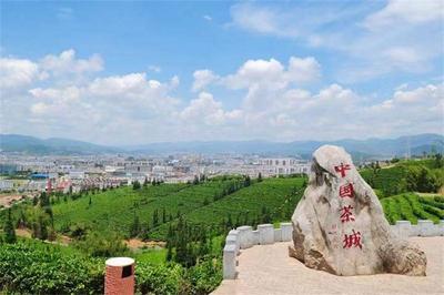 “二月二，龙抬头”，快来普洱“云踏春”吧！