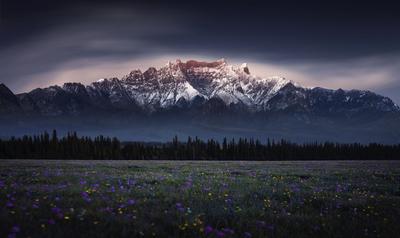 初春的轿子山“俏然生息”，女神节再送福利！
