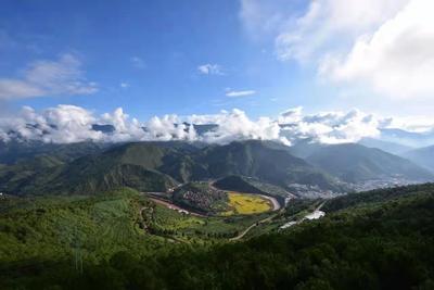 【春日赏花图鉴】大理绝美油菜花海已上线！快来打卡