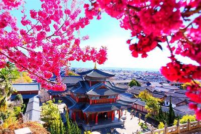 云南五大世界遗产：春光美如画，人在画中游