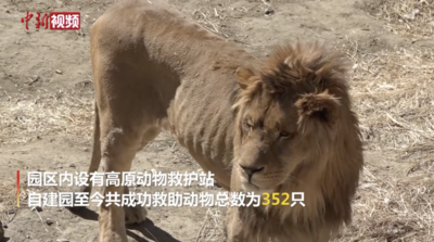 西藏首家大型动物园开园在即 设有高原动物救护站