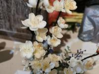 【图集 | “女神节” 到岔街花市 选束花送给女神】