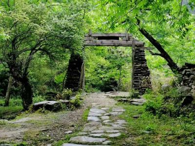 临沧茶旅 | 世外桃源古墨村，喝自己做的茶