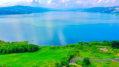 金鱼草花海绽放，来华侨城阳宗海踏青赏花  