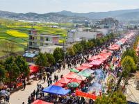 图集丨花灯故里花灯俏 文化弥渡展新姿