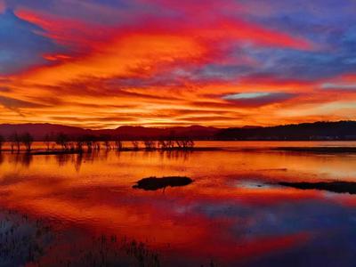 春天的云南，“色彩的盛宴”！