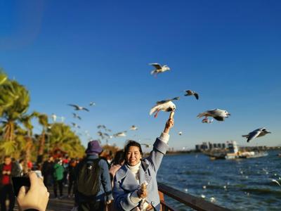 【图集 | 一别又一年 再在昆明看看红嘴鸥吧】