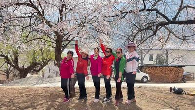 尼西汤堆邀您共赴“高原之春 十里桃花”之约