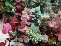 【图集 | “女神节” 到岔街花市 选束花送给女神】