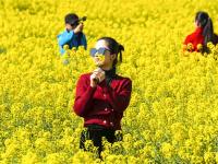 图集 | 乌龙渔村风光正好 油菜花开引人入胜