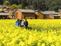 图集 | 乌龙渔村风光正好 油菜花开引人入胜