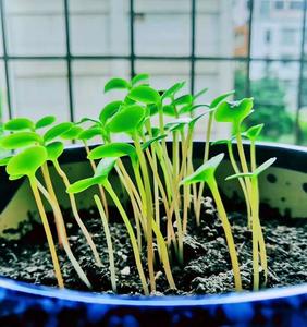 【中国最美乡愁】惊蛰 看蛰伏的美好苏醒