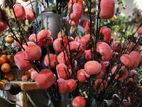 【图集 | “女神节” 到岔街花市 选束花送给女神】