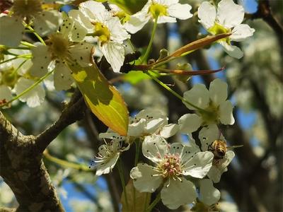 普洱春暖花开季，陌上春耕正当时！