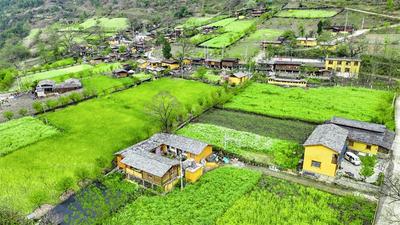 又是一年春游季，走进贡山这幅田园油画里