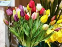 【图集 | “女神节” 到岔街花市 选束花送给女神】