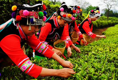 【中国最美乡愁】惊蛰 看蛰伏的美好苏醒