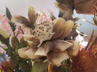 【图集 | “女神节” 到岔街花市 选束花送给女神】